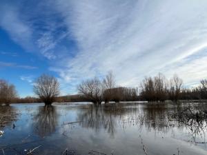 #ConstanțaEsteBine Valul 2 de energie - partea a doua - ziua 5. 14 februarie 2024. Luna începe bine creșterea