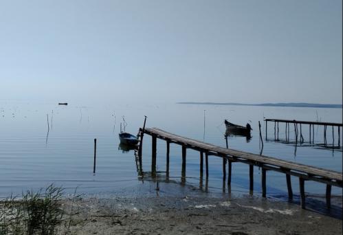 #ConstanțaEsteBine Valul 2 de energie - partea a doua - ziua 8. 17 februarie 2024. Luna continuă creșterea