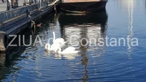 Meteo Constanța Prognoza meteorologică pentru Dobrogea în zilele următoare 