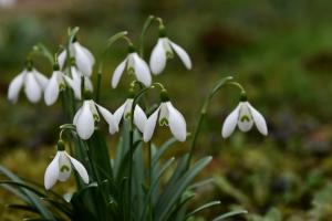 Prognoza meteo pentru următoarele zile, în Dobrogea 