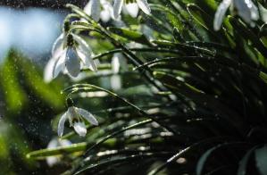 Meteo Constanța Vremea în acest final de săptămână, în Dobrogea 