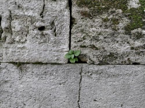 #ConstanțaEsteBine Valul 3 de energie – partea întâi – ziua 2. 26 februarie 2024.  Luna începe să își scadă din intensitate 