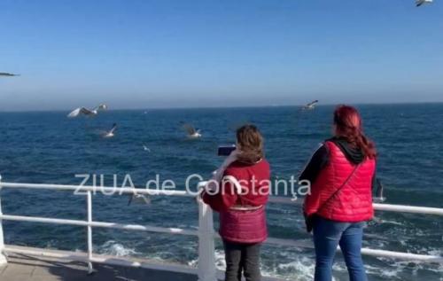 Prognoza meteo pentru următoarele zile în Dobrogea 