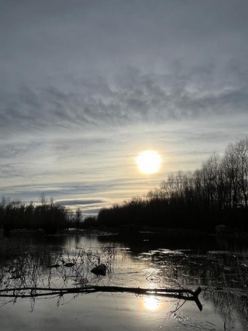 #ConstanțaEsteBine Valul 3 de energie - partea întâi - ziua 4. 28 februarie 2024. Avem astăzi o altă zi de lună în scădere și energie a eliminărilor și curățeniilor