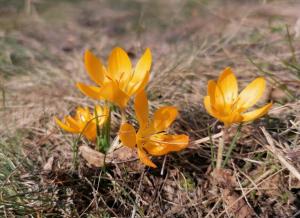 #ConstanțaEsteBine Valul 3 de energie - partea întâi - ziua 7. 2 martie 2024. Fiecare om este o carte