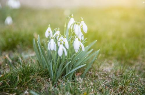 Prognoza meteo pentru Dobrogea în zilele următoare. Cum va fi vremea la malul mării? 