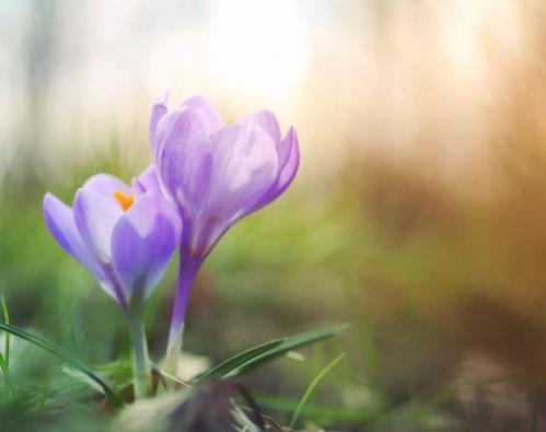Schimbări de temperatură în Dobrogea. Ce ne așteaptă în următoarele două săptămâni?