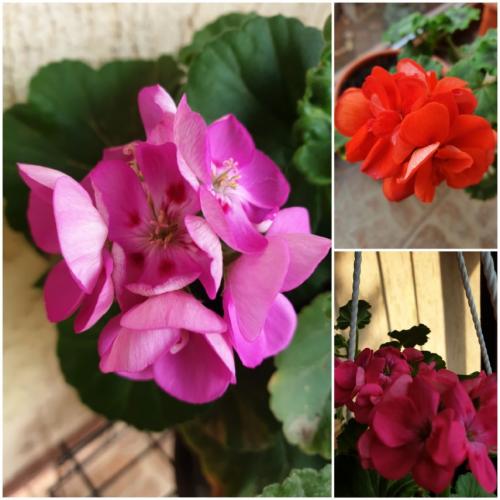 #ConstanțaEsteBine Valul 3 de energie - partea întâi - ziua 13. 8 martie 2024. La mulți ani de ziua femeilor tuturor sufletelor cu vibrația Creativității și Imaginației