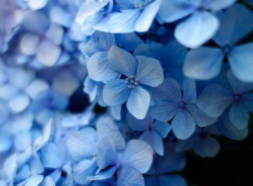 Meteo Constanța Prognoza pentru weekend la malul mării 