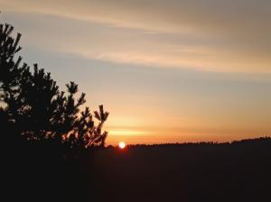 #ConstanțaEsteBine 10 martie 2024. Luna nouă în Pești