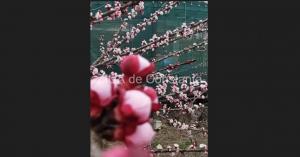 Cum va fi vremea în Dobrogea în următoarele două săptămâni! Când sunt așteptate ploi la malul mării