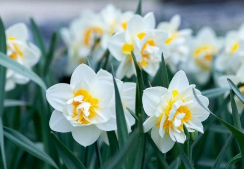 Prognoza pentru 13-15 martie 2024, în Dobrogea 