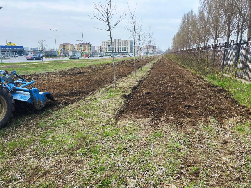 Sursa foto: Primăria Constanța