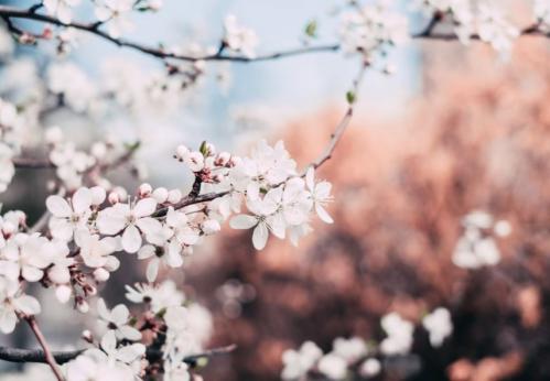 Vremea în Dobrogea în acest final de săptămână. Temperaturi la malul mării 