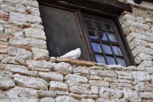 #ConstanțaEsteBine Valul 3 de energie – partea a doua – ziua 5. 15 martie 2024. Energia își continuă evoluția sa ascendentă