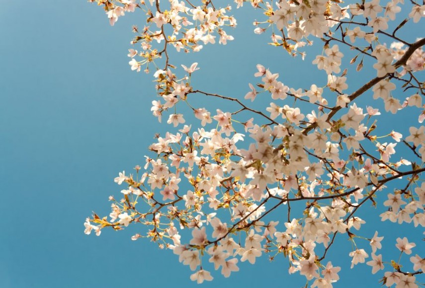 foto: Unsplash