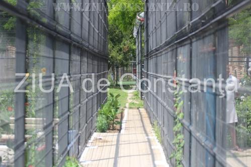 Penitenciarul Poarta Albă, din județul Constanța, cumpără autobuz! 