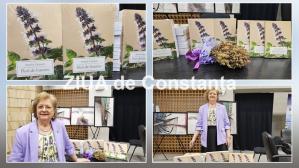 LIVE VIDEO+TEXT Romanul „Flori de busuioc” al Aureliei Lăpușan, lansat la Biblioteca Județeană „Ioan N. Roman” Constanța (GALERIE FOTO+VIDEO)                      