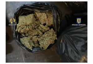 UPDATE. Persoane reținute de DIICOT Constanța pentru trafic internațional de droguri (FOTO+VIDEO) 