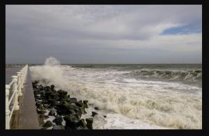 Cod galben de vânt puternic la Constanța! Numere utile în caz de urgență