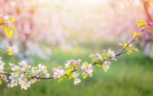 Schimbări de temperatură în Dobrogea. Prognoza meteo pentru zilele următoare 