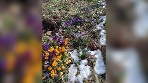 #ConstantaEsteBine Valul 3 de energie – partea a doua – ziua 15, 25 martie 2024, „Lună plină cu lumină”