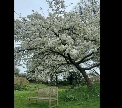 #ConstanțaEsteBine Valul 4 de energie – partea întâi – ziua 3. 28 martie 2024. Valul de energie al eclipselor intensifică energia foarte tulbure