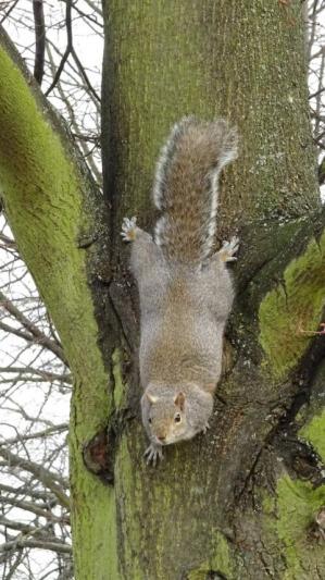 #ConstanțaEsteBine Valul 4 de energie - partea întâi - ziua 5. 30 martie 2024. Week-end provocator, dar potențial foarte folositor