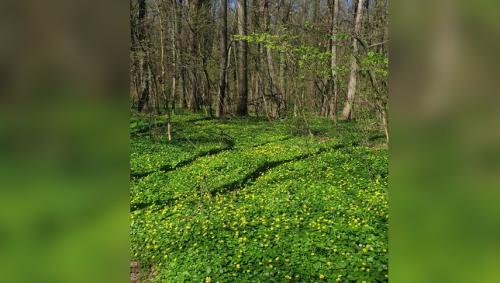 #ConstantaEsteBine  Valul 4 de energie – partea întâi – ziua 9, 3 aprilie 2024. Suntem în mijlocul portalului de eclipse