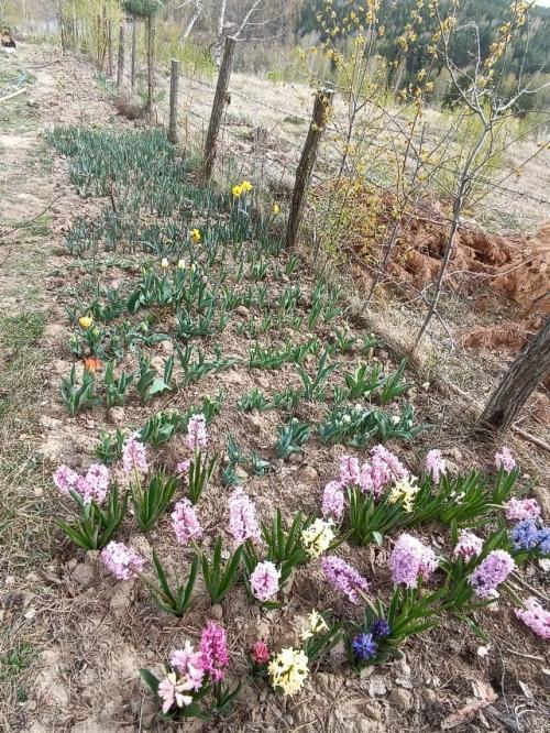 #ConstantaEsteBine   Valul 4 de energie – partea întâi – ziua 12-6.04.2024. Luna este în semnul Peștilor