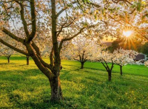 Vremea în Dobrogea. Prognoza pentru următoarele zile