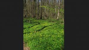 #ConstanțaEsteBine Valul 4 de energie – partea a doua – ziua 6 14 aprilie 2024 Sunteți în pline energii de vârtej și schimbări?