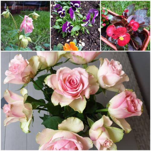 #ConstanțaEsteBine Valul 4 de energie - partea a doua - ziua 13. 21 aprilie 2024. Schimbarea