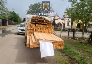 În județul Constanța   Amendat pentru transport de material lemnos fără documente legale