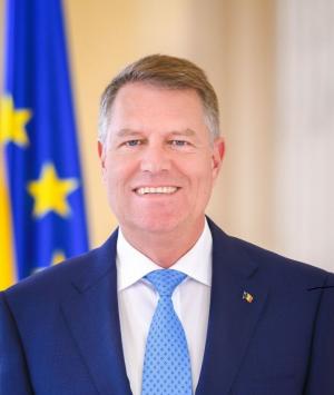 Întâlnirea președintelui Iohannis cu vicepreşedintele Republicii Turcia. Ce s-a discutat
