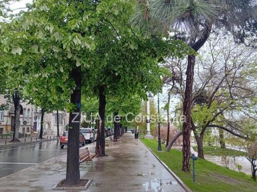 Cum va fi vremea în Dobrogea, în zilele următoare? 