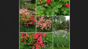 #ConstanțaEsteBine Valul 5 de energie – partea a doua – ziua 11 4 mai 2024 Coborâm vertiginos spre luna nouă de pe 7 ma