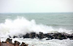 Infotrafic Porturile de la Marea Neagră, închise din cauza vântului puternic