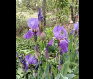 #ConstanțaEsteBine Valul 5 de energie – partea a doua – ziua 13. 6 mai 2025. O zi de lună întunecată, care precede luna nouă de mâine 