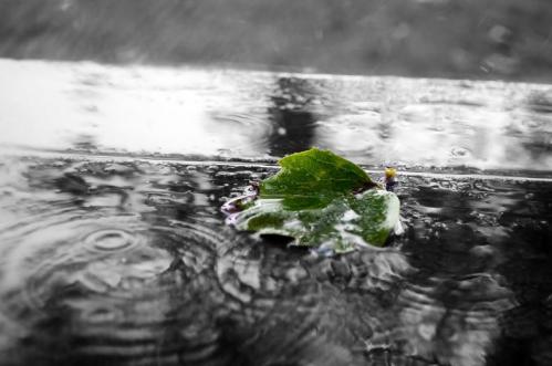 Ce ne așteaptă în primele zile din mai, în Dobrogea? Iată semnificația codurilor meteo 