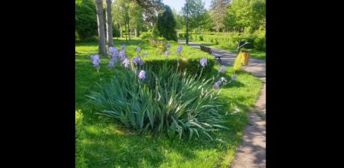 #ConstanțaEsteBine Valul 5 de energie – partea a doua – ziua 14 7 mai 2024 Luna nouă în Taur