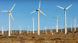 Emanuel Muntmark, supranumit „regele eolienelor“, a cesionat o parte din acțiunile Vulturu Wind Farm SRL 