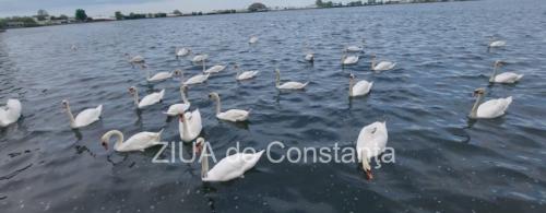 Cum va fi vremea în Dobrogea în următoarele două săptămâni. Când sunt așteptate ploi la malul mării