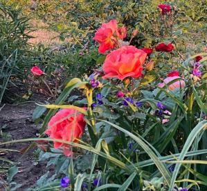 #ConstanțaEsteBine Valul 6 de energie – partea întâi – ziua 9 16 mai 2024. „Onorez viața mamei și am ales să nu jeluiesc moartea ei“