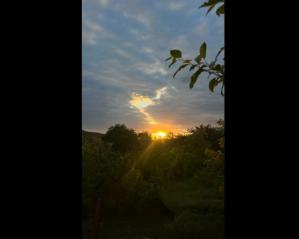 #ConstanțaEsteBine Valul 6 de energie - partea întâi - ziua 10. 17 mai 2024. Să avem cu toții o zi prezentă și să trăim frumos viața