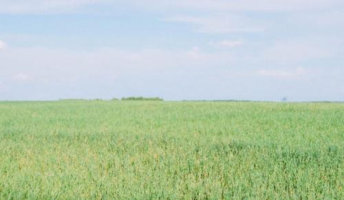 Rezerva de umiditate în Dobrogea. Datele actualizate de ANM 