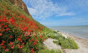 Vremea la Constanța, joi, 23 mai 2024