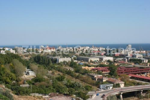 Licitații Constanța Administrația Porturilor Maritime caută firmă care să întrețină spațiile verzi și parcurile din Portul Constanța, cu peste 2,25 de milioane de euro (DOCUMENT) 