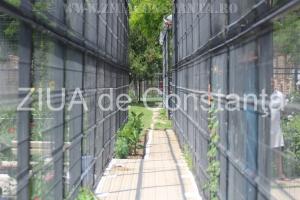 Penitenciarul Poarta Albă cumpără trei autovehicule! Unul pentru transport marfă și două pentru transport persoane