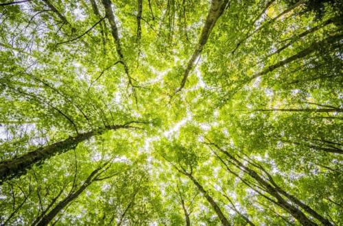 Vremea 26 mai 2024, la Constanța. Duminică însorită la malul mării 